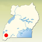 Mountain View Farm Ltd cartina