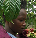 Uganda woman