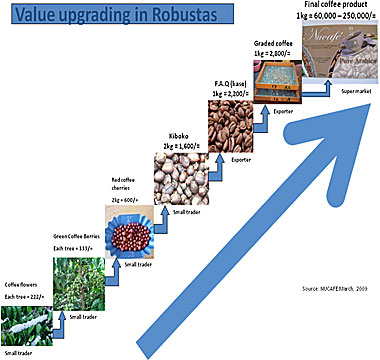 Coffee Value chain Coffee Value chain