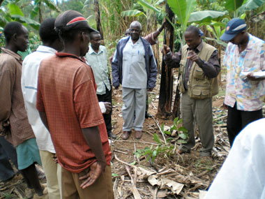 Farmers of Nucafe Farmers of Nucafe