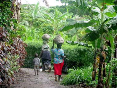 Women farmers